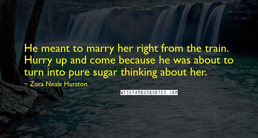 Zora Neale Hurston Quotes: He meant to marry her right from the train. Hurry up and come because he was about to turn into pure sugar thinking about her.