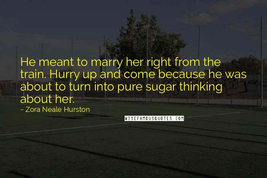 Zora Neale Hurston Quotes: He meant to marry her right from the train. Hurry up and come because he was about to turn into pure sugar thinking about her.