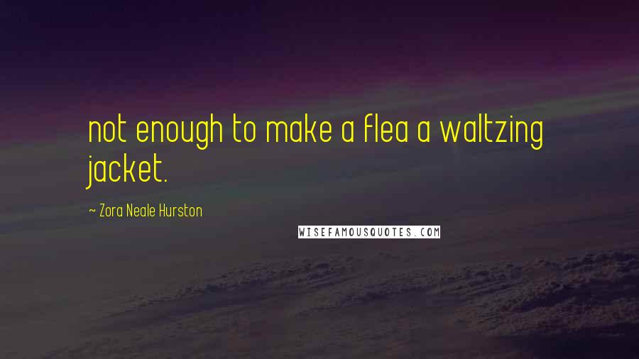 Zora Neale Hurston Quotes: not enough to make a flea a waltzing jacket.