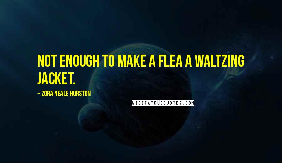 Zora Neale Hurston Quotes: not enough to make a flea a waltzing jacket.