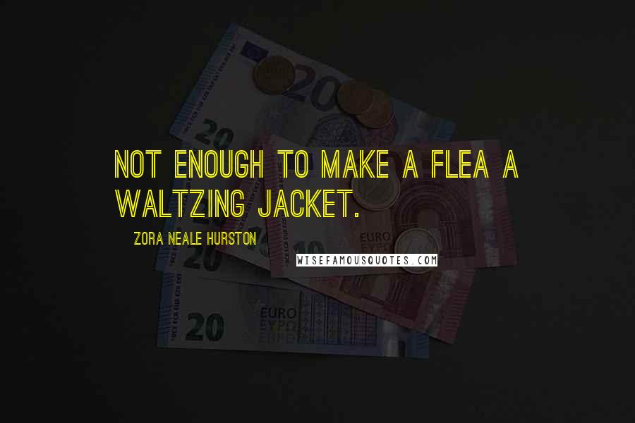 Zora Neale Hurston Quotes: not enough to make a flea a waltzing jacket.