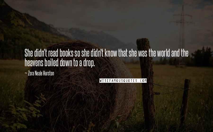 Zora Neale Hurston Quotes: She didn't read books so she didn't know that she was the world and the heavens boiled down to a drop.