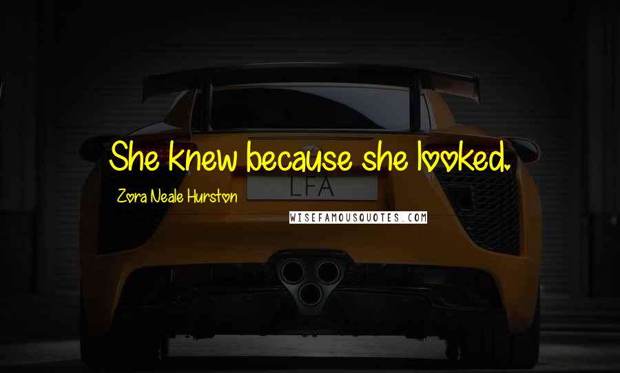 Zora Neale Hurston Quotes: She knew because she looked.