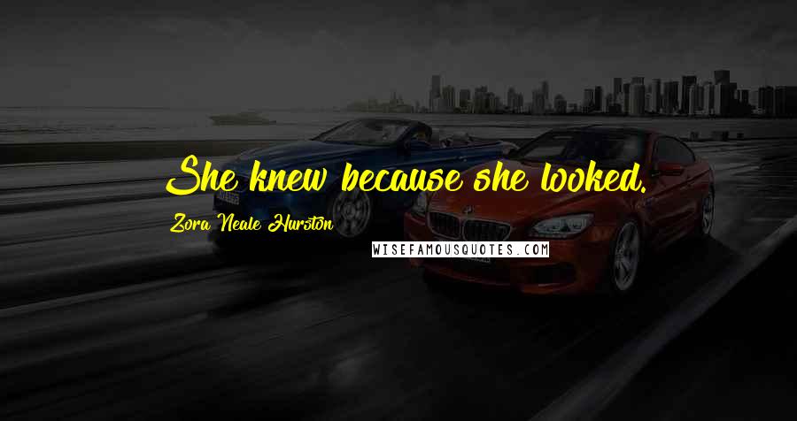 Zora Neale Hurston Quotes: She knew because she looked.