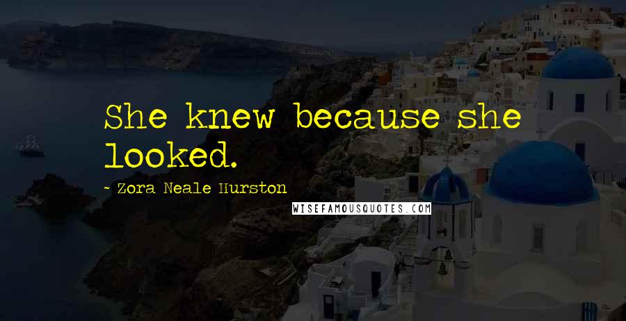 Zora Neale Hurston Quotes: She knew because she looked.