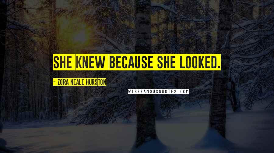 Zora Neale Hurston Quotes: She knew because she looked.