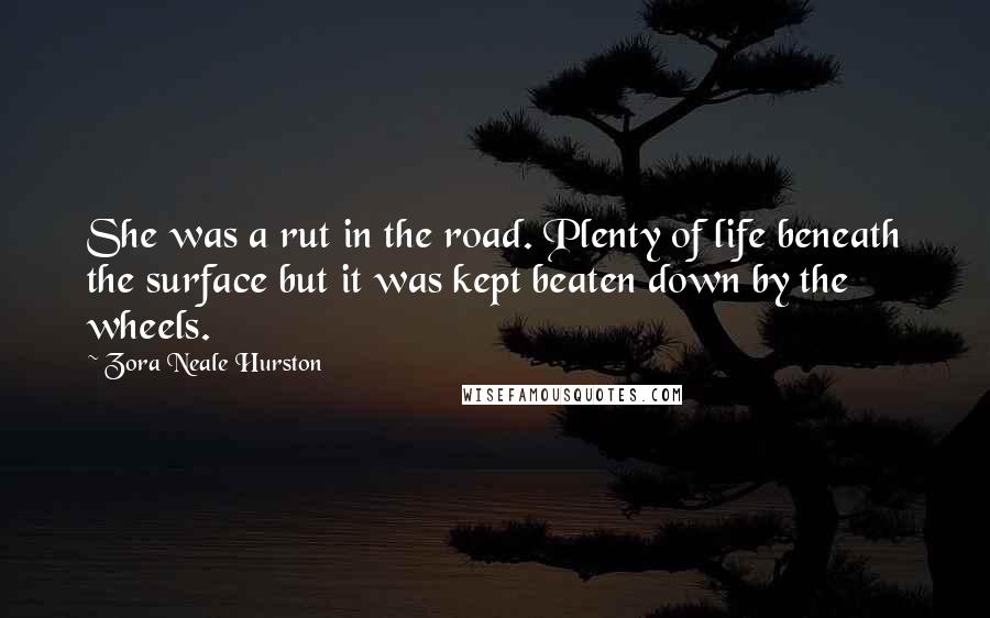 Zora Neale Hurston Quotes: She was a rut in the road. Plenty of life beneath the surface but it was kept beaten down by the wheels.