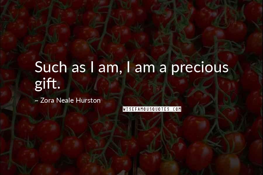 Zora Neale Hurston Quotes: Such as I am, I am a precious gift.