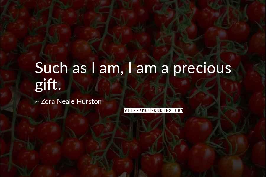 Zora Neale Hurston Quotes: Such as I am, I am a precious gift.