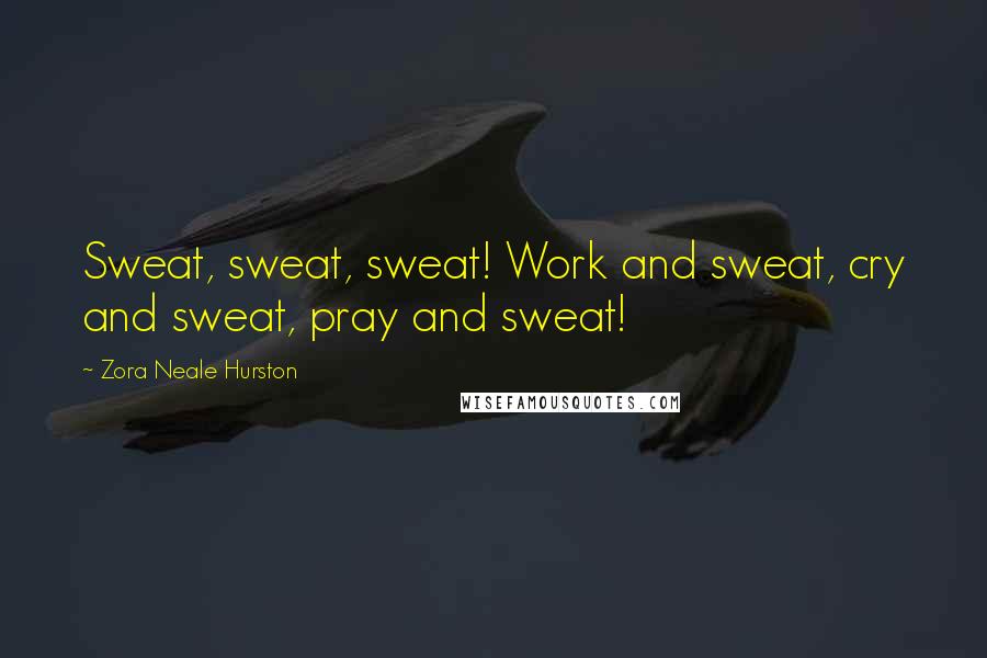 Zora Neale Hurston Quotes: Sweat, sweat, sweat! Work and sweat, cry and sweat, pray and sweat!