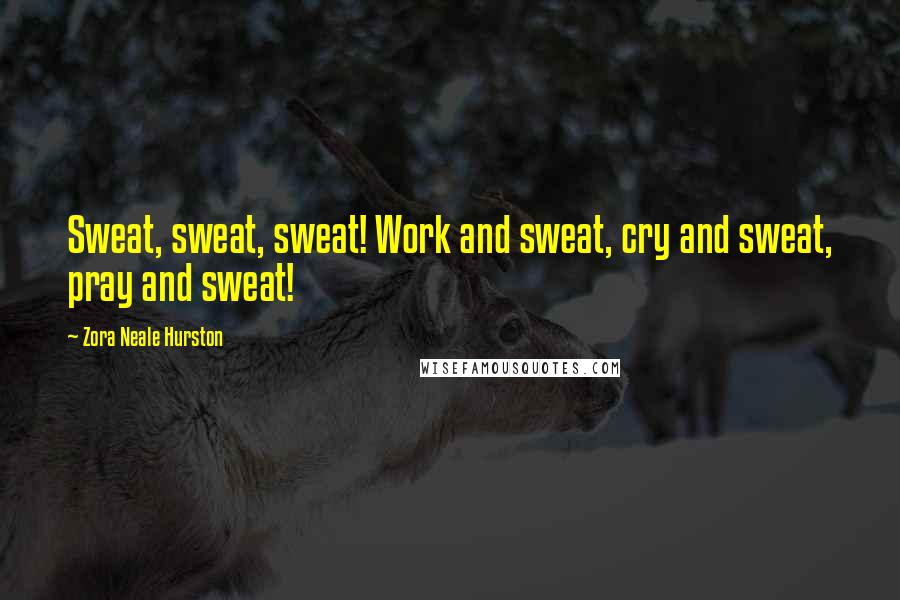 Zora Neale Hurston Quotes: Sweat, sweat, sweat! Work and sweat, cry and sweat, pray and sweat!