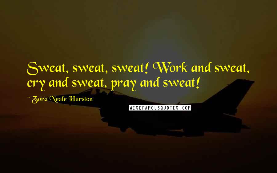 Zora Neale Hurston Quotes: Sweat, sweat, sweat! Work and sweat, cry and sweat, pray and sweat!