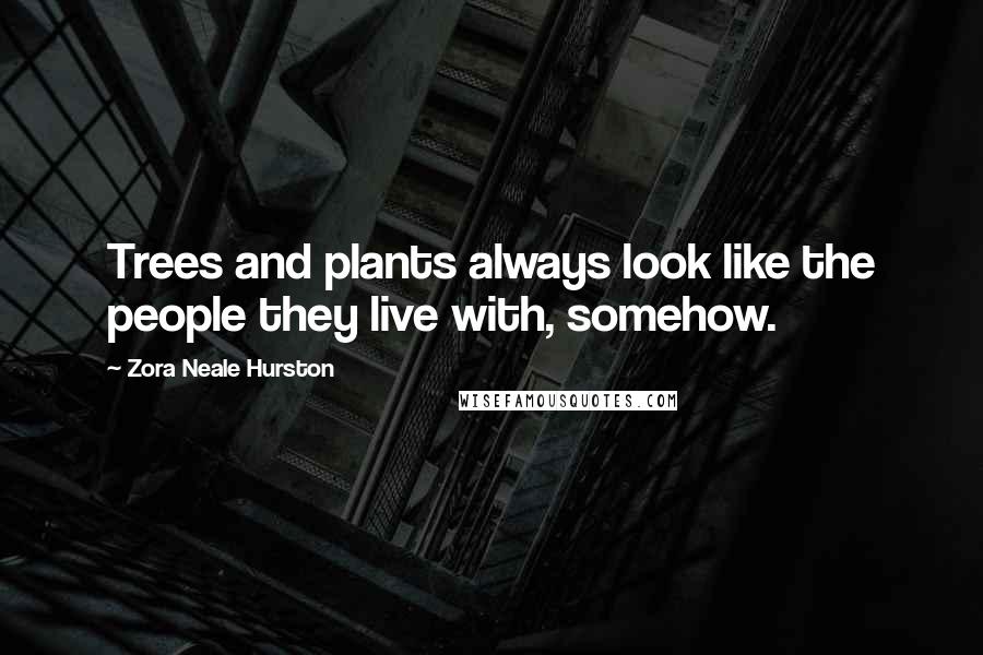 Zora Neale Hurston Quotes: Trees and plants always look like the people they live with, somehow.