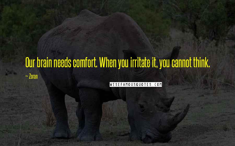 Zoran Quotes: Our brain needs comfort. When you irritate it, you cannot think.