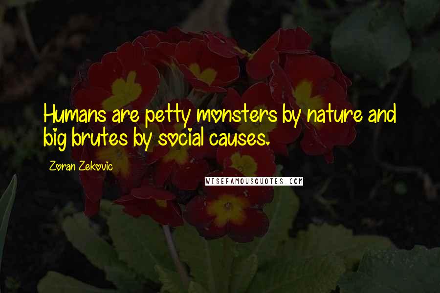 Zoran Zekovic Quotes: Humans are petty monsters by nature and big brutes by social causes.