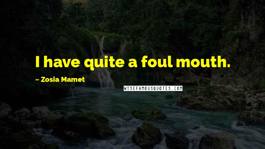 Zosia Mamet Quotes: I have quite a foul mouth.