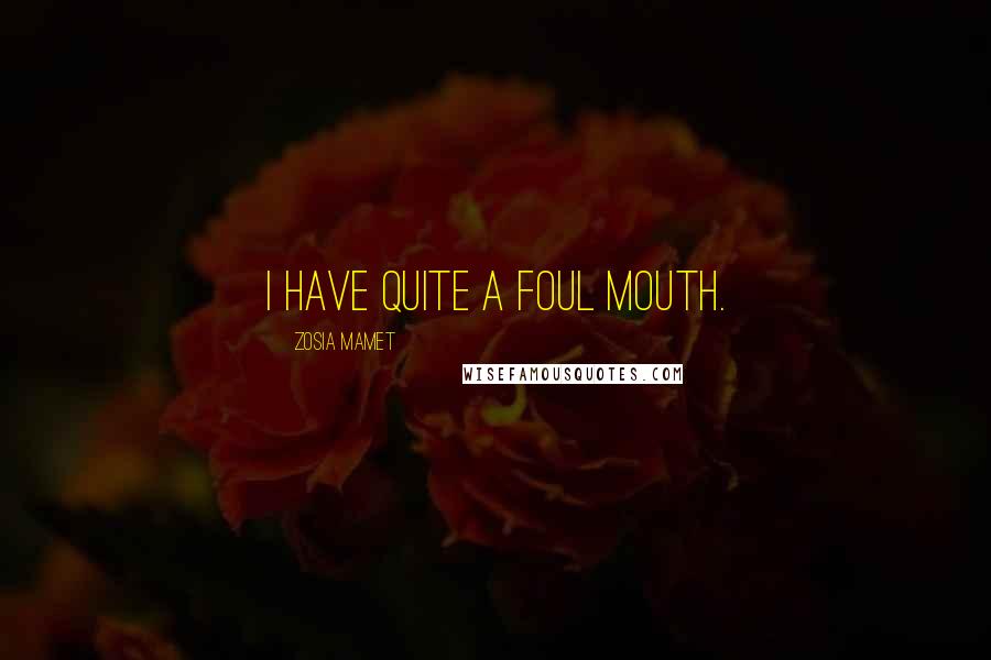 Zosia Mamet Quotes: I have quite a foul mouth.