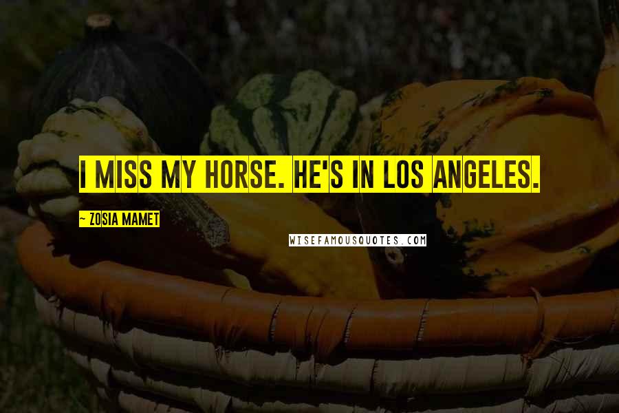 Zosia Mamet Quotes: I miss my horse. He's in Los Angeles.