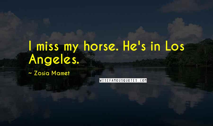 Zosia Mamet Quotes: I miss my horse. He's in Los Angeles.