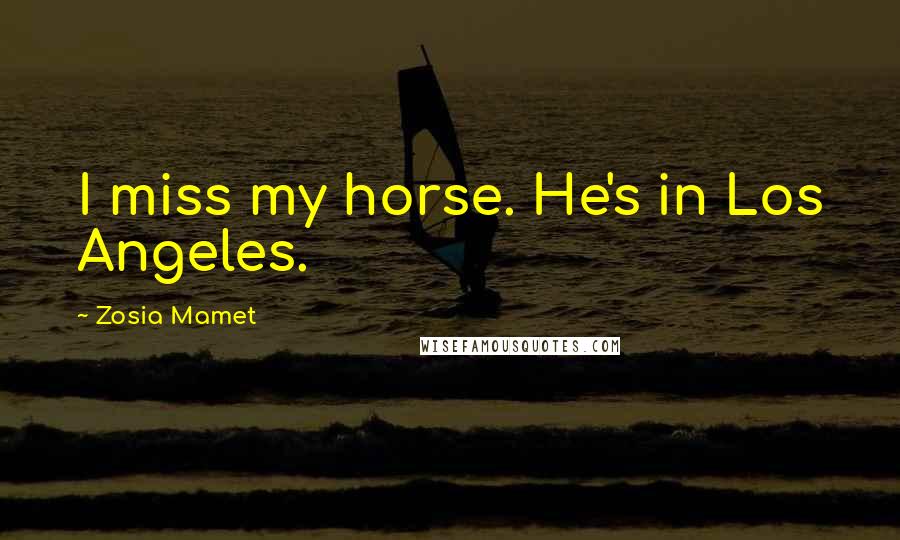 Zosia Mamet Quotes: I miss my horse. He's in Los Angeles.