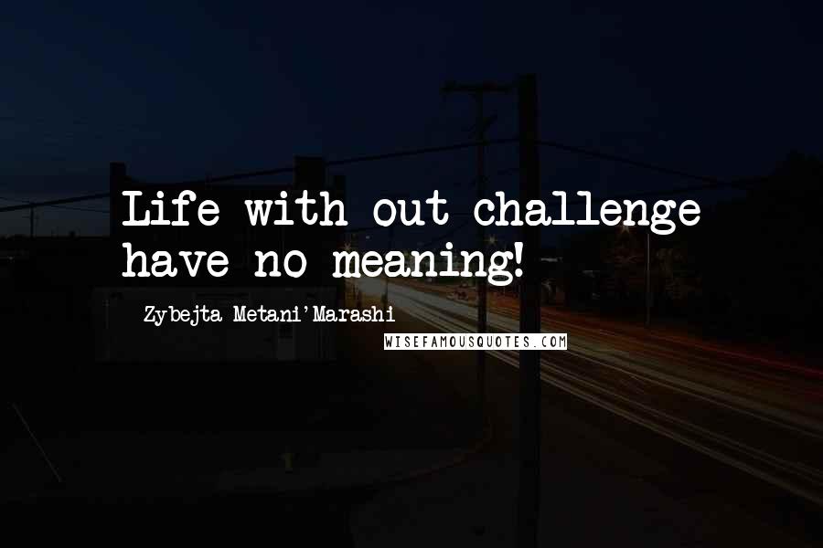 Zybejta Metani'Marashi Quotes: Life with out challenge have no meaning!