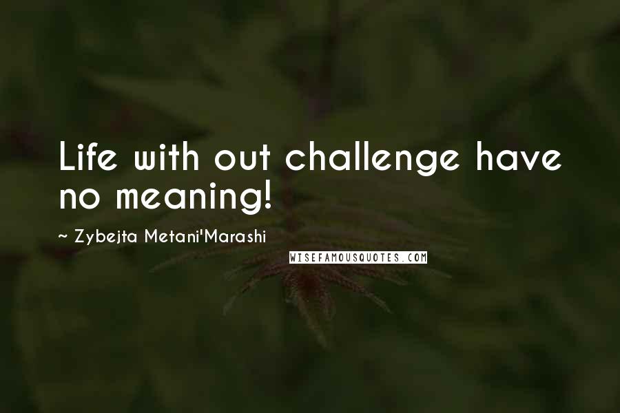 Zybejta Metani'Marashi Quotes: Life with out challenge have no meaning!
