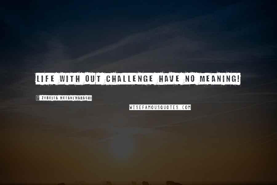 Zybejta Metani'Marashi Quotes: Life with out challenge have no meaning!