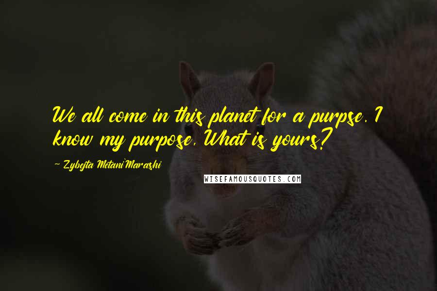 Zybejta Metani'Marashi Quotes: We all come in this planet for a purpse. I know my purpose, What is yours?