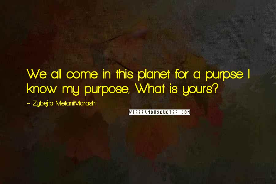 Zybejta Metani'Marashi Quotes: We all come in this planet for a purpse. I know my purpose, What is yours?