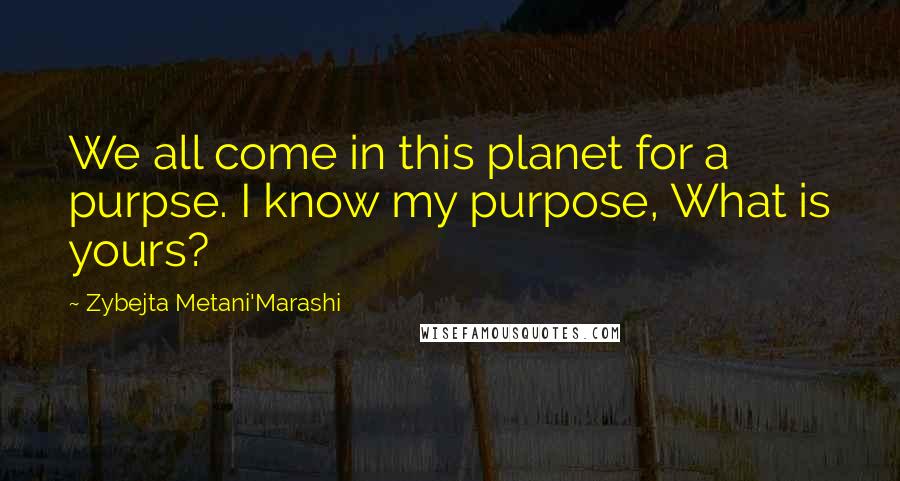 Zybejta Metani'Marashi Quotes: We all come in this planet for a purpse. I know my purpose, What is yours?