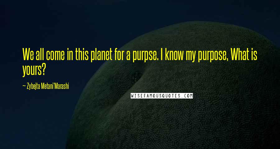 Zybejta Metani'Marashi Quotes: We all come in this planet for a purpse. I know my purpose, What is yours?