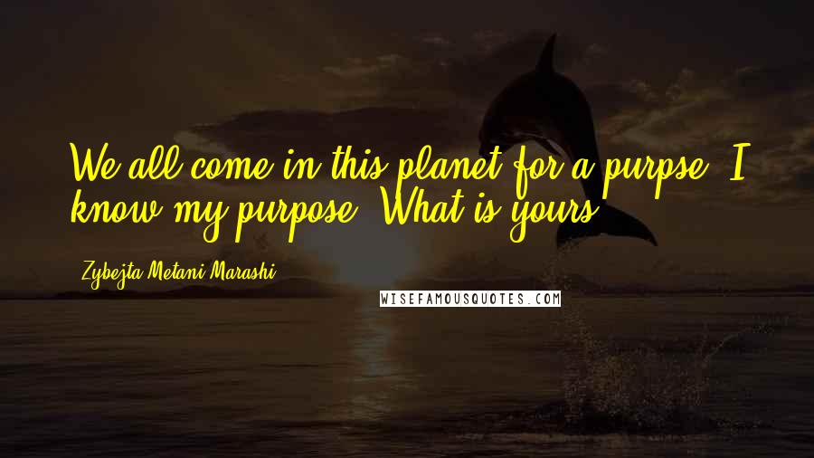 Zybejta Metani'Marashi Quotes: We all come in this planet for a purpse. I know my purpose, What is yours?